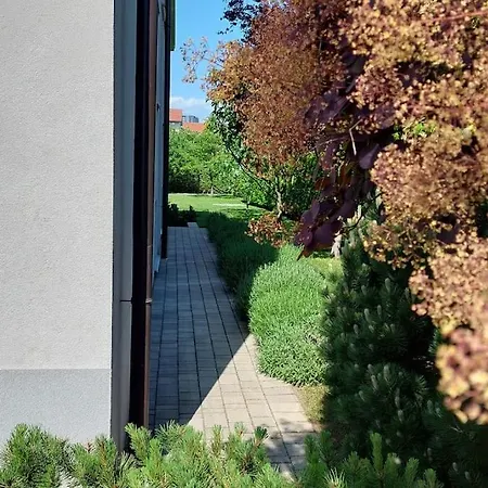Apartament City Pine, Free Parking *