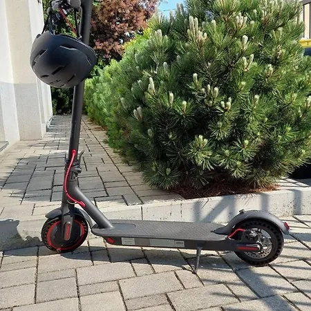 City Pine, Free Parking Lublana