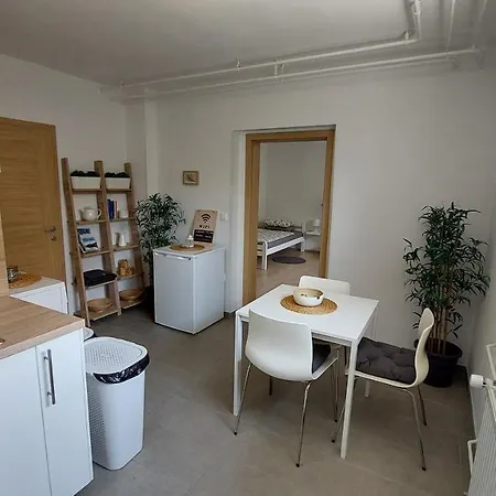 Apartment City Pine, Free Parking Ljubljana